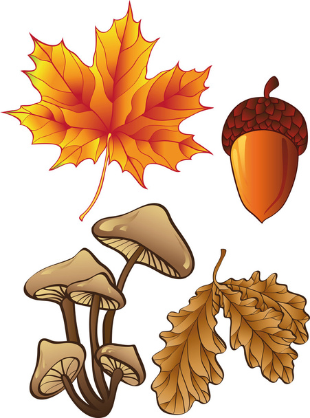 Set of autumn plants - Vetor, Imagem