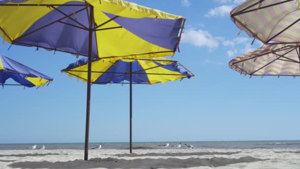 Zeegezicht op een zomerdag. Veelkleurige parasols staan op het lekkende strand. Zeemeeuwen slenteren rustig langs de kust. Abstract natuurlijke achtergrond voor reizen. - Video
