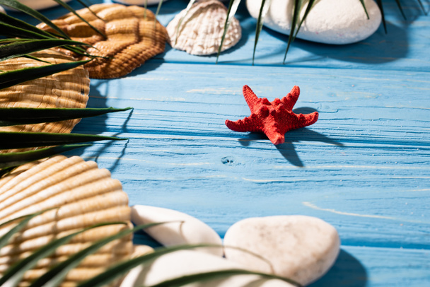 seashells, starfish and palm leaves on wooden blue background - Foto, Imagen