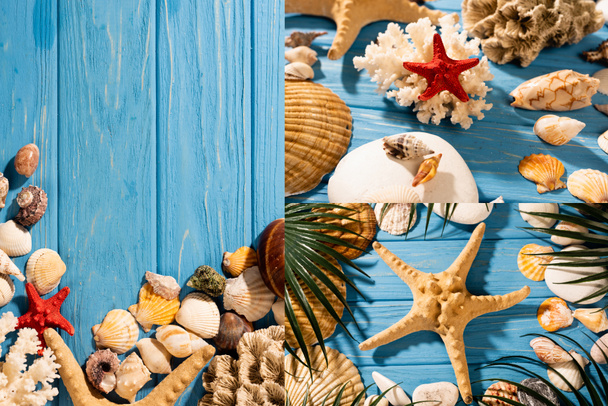 top view of seashells, starfishes, coral and palm leaves on wooden blue background, collage - Photo, Image