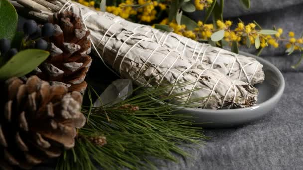 Dried white sage smudge stick, relaxation and aromatherapy. Smudging during psychic occult ceremony, herbal healing, yoga or aura cleaning. Essential incense for esoteric rituals and fortune telling - Footage, Video