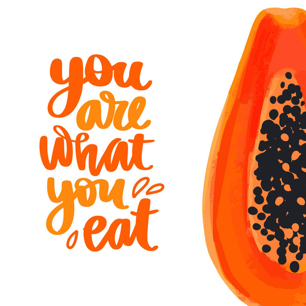 You are what you eat. Vector hand drawn lettering quote about healthy food. - Vector, Imagen