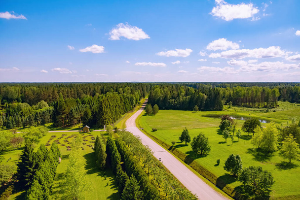 Rural road through the forest - Fotografie, Obrázek