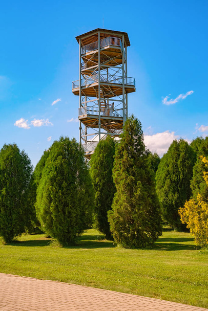 An observation tower in the arboretum - Foto, afbeelding
