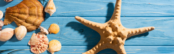 vista superior de estrela do mar, conchas em fundo azul de madeira, tiro panorâmico
 - Foto, Imagem