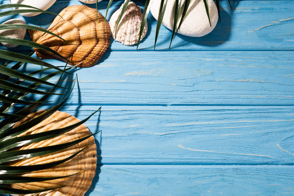 vista superior de conchas marinas y hojas de palma sobre fondo azul madera
 - Foto, imagen