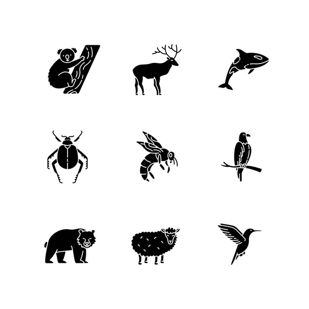 Animal species black glyph icons set on white space. Flying birds, land animals and sea creatures silhouette symbols. Diverse wildlife, exotic and ordinary fauna. Vector isolated illustrations - Вектор, зображення