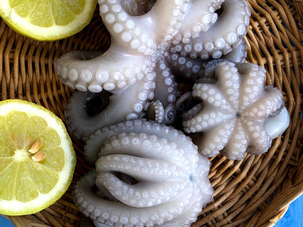 Вкусный свежий осьминог из Бари, Апулия - Фото, изображение