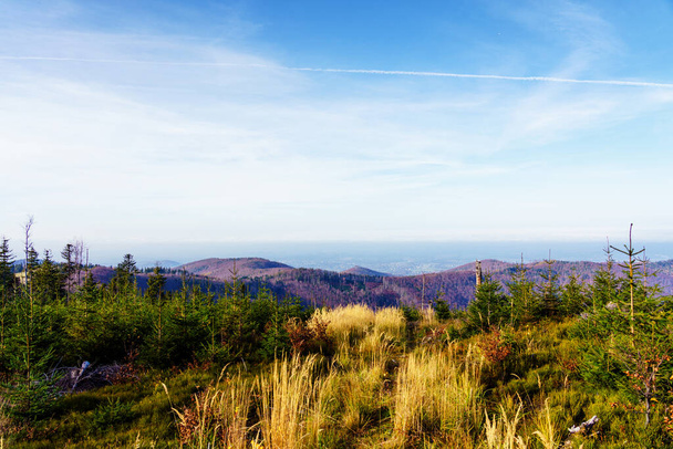 ポーランドのベスキディ山脈、ベスキディ・スラスキ、ポーランドの葉色 - 写真・画像