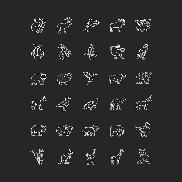 Wildlife chalk white icons set on black background. Ordinary animals and tropical wild life. Different nature inhabitants, birds, mammals and sea life. Isolated vector chalkboard illustrations - Wektor, obraz