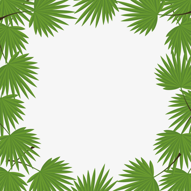Vector illustratie achtergrond met tropische bladeren, frame van bladeren van palmbomen, zomer achtergrond.Graphics element. - Vector, afbeelding
