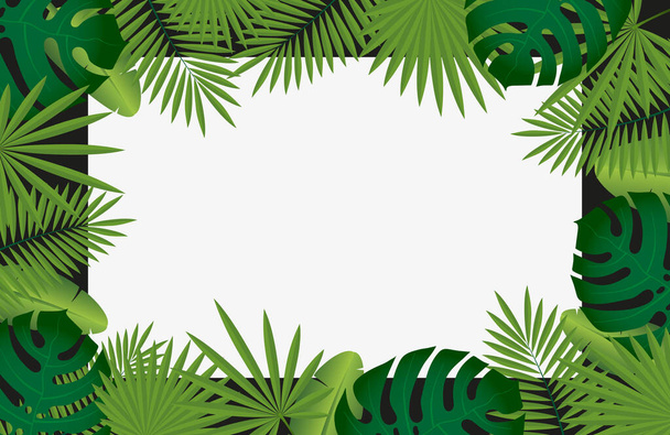Fondo tropical de moda.Marco de hojas de palma tropical con fondo blanco oscuro. Fondo de verano
. - Vector, imagen