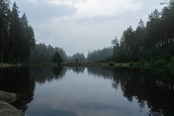 雨の日には池の岸に立っている若い男。チェコの自然保護区、暗い雰囲気の緑 - 写真・画像