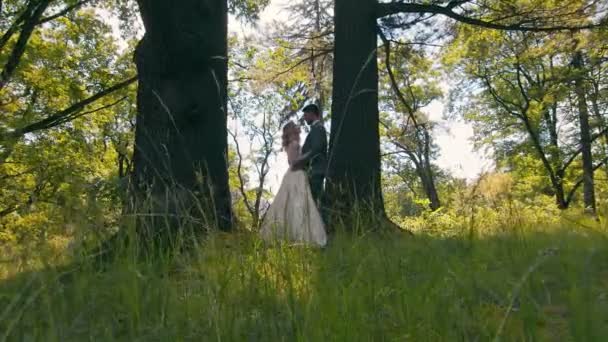 Ağaçların yanındaki ormanda gün ışığının altında buluşan genç bir çift. Yeni evliler nazikçe ellerine dokunur ve birbirlerinin gözlerine bakarlar.. - Video, Çekim