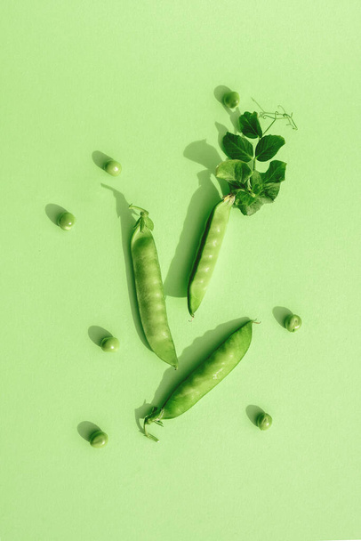 Trendy Sunlight Pattern from pods of green peas. Minimalism Green Monochrome - 写真・画像