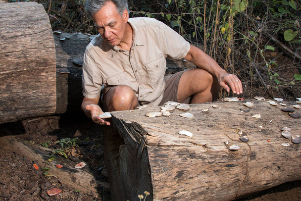 Biolog badający grzyby rosnące na upadłym pniu drzewa - Zdjęcie, obraz