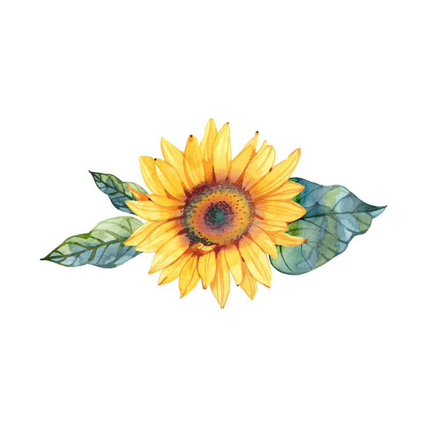 Summer yellow sunflowers bouquet watercolor illustration on white background - Fotografie, Obrázek