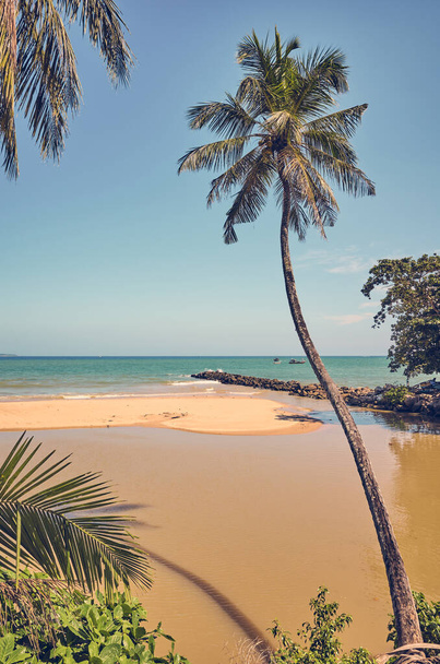 Imagen retro tonificada de una playa tropical con cocoteros, Sri Lanka
. - Foto, imagen