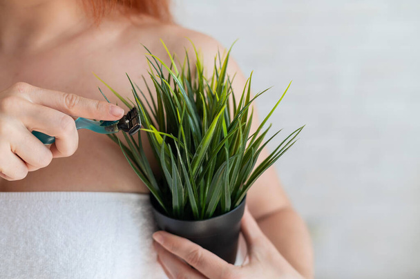 Faceless woman holds a pot with a houseplant and a shaver. Imitation of armpit hair removal. Unrecognizable girl in a white towel does her own depilation. - Foto, afbeelding