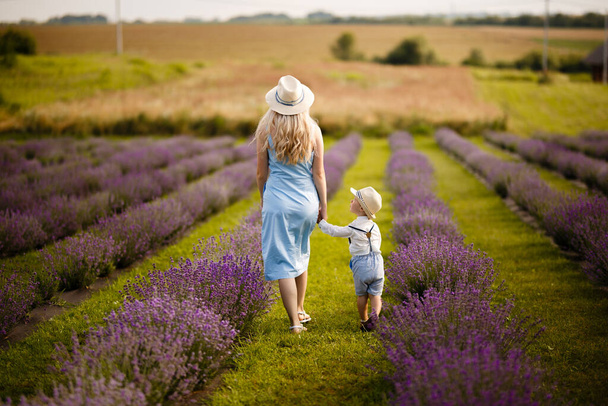 Kleine jongen loopt met zijn moeder op een lavendelveld. - Foto, afbeelding