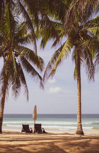 Мальовничий пляж з пальмами і сонячними ліжками, вертикальний, відфільтрований. Ідилічний курортний фон, тонований. Відпочинок на морі. Концепція подорожей та екзотичної релаксації. Тропічний пейзаж. Порожній сонячний курорт. Лаунж і парасолька на тропічному пляжі
. - Фото, зображення
