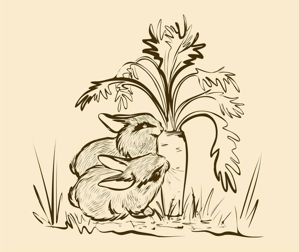 Dva králíci okusují velkou mrkev. Černobílý ručně kreslený nákres. Skica. - Vektor, obrázek