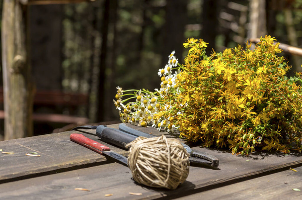 Een nuttige plant (Hypericum perforatum) verzameld in een boeket en ligt op de houten tafel close-up op een zomerdag - Foto, afbeelding