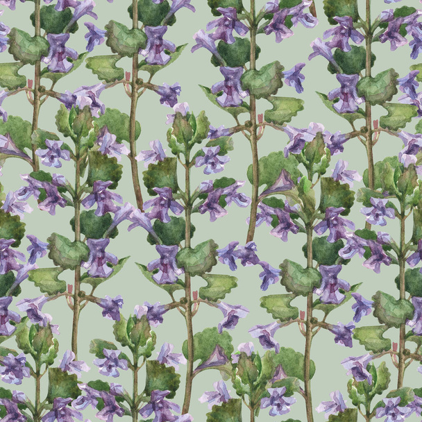 Seamless watercolor floral pattern. Print for fabric, wallpaper or wrapping paper with small purple flowers on light green background. - Photo, image