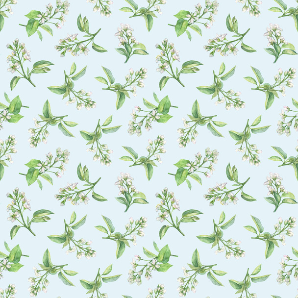 Watercolor seamless floral pattern with blooming twigs on light blue background. - Fotoğraf, Görsel