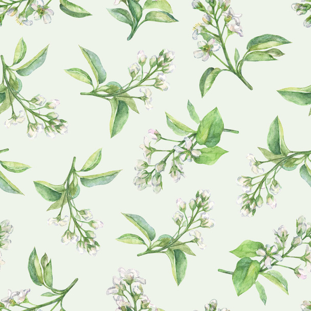 Watercolor blooming twigs on a light green background. Seamless floral pattern in delicate pastel colors. - Fotoğraf, Görsel