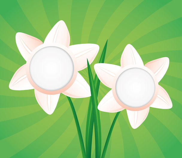 Vector. Floral background. - Vector, Image
