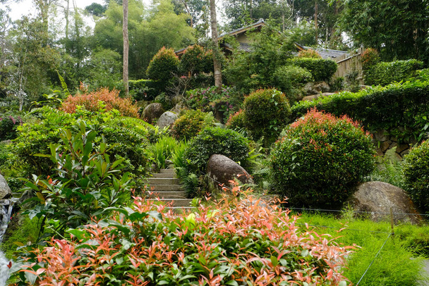 Een schilderstuk van Japanse tuin in een van toerisme gebied in Maleisiė. - Foto, afbeelding