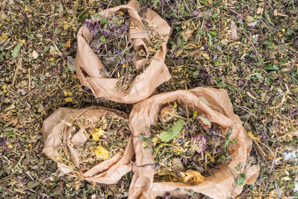 mélange d'herbes cicatrisantes dans des sacs en papier éco zéro déchet, gros plan, phytothérapie, vue de dessus. Pose plate. - Photo, image