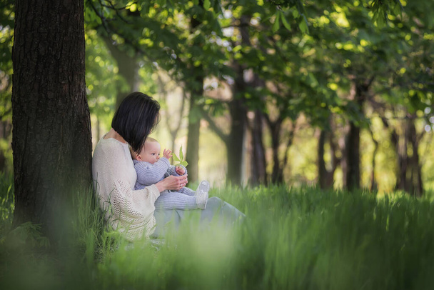 Modern beautiful young brunette mother with a short haircut, holding a toddler in a gray knitted romper in her arms. A girl and her son are sitting under a tree, playing together, hugging. Mom kisses the child - Fotoğraf, Görsel