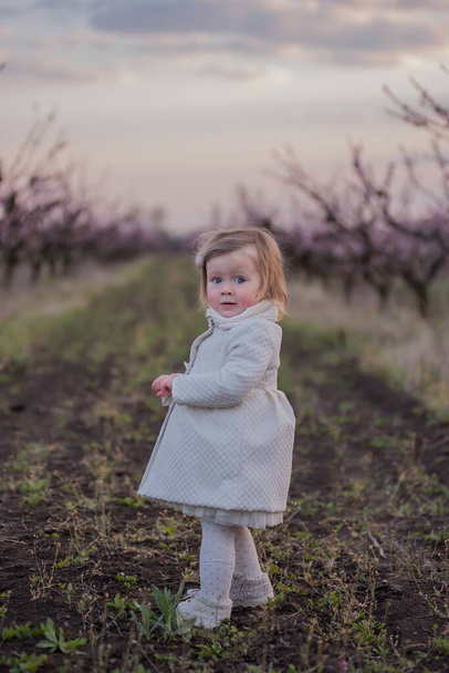 Portrait of a little beautiful baby with blue eyes in a white coat, who walks on a picnic with her parents in blooming gardens at sunset. Traveling with small children. Fashionable blonde girl. - Valokuva, kuva