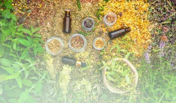 Bottles of tincture or oil and dry healthy healing herbs. Herbal medicine, aromatherapy essential oil bottle, top view, close up - 写真・画像
