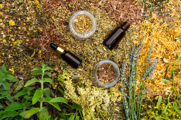 Bottles of tincture or oil and dry healthy healing herbs. Herbal medicine, aromatherapy essential oil bottle, top view, close up - Foto, imagen