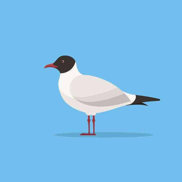 Mediterranean Gull. Seagull vector illustration. Flat style gull bird. - Vector, Image