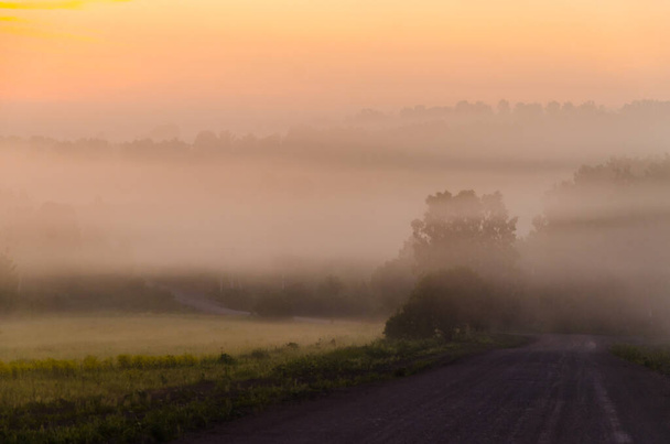 early morning. forest hiding in the fog. forest path. - Φωτογραφία, εικόνα
