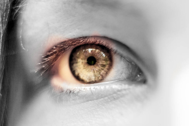 人間の茶色の目のマクロ - 写真・画像