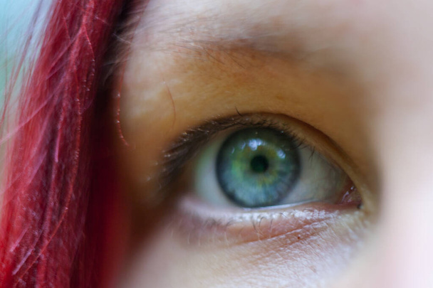 close-up of human blue eye - Photo, Image