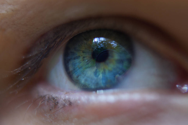 Macro image of human blue eye - Foto, Imagem