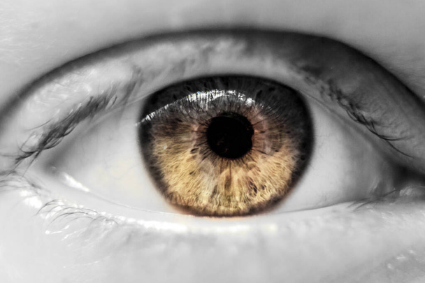 коричневый глаз человека - Фото, изображение