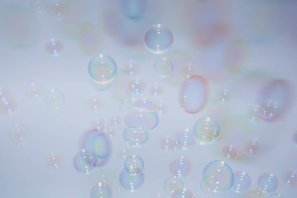 Bubbles colorful background white - Photo, Image