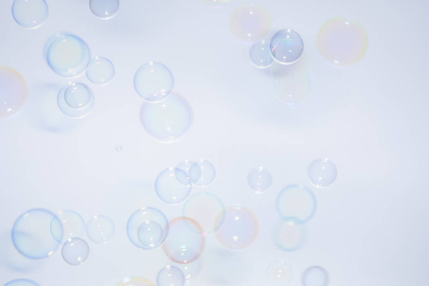 Bubbles colorful background white - Photo, Image