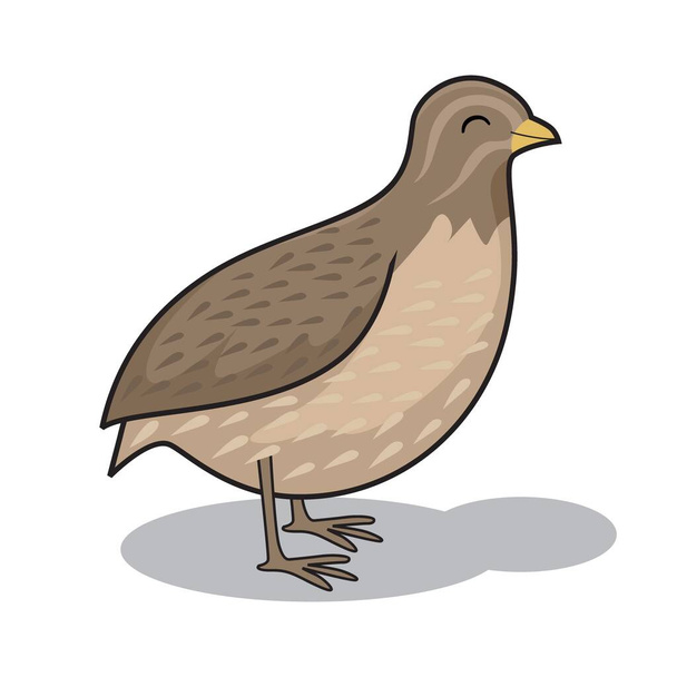 Křepelčí Ptačí kreslená zvířata Ilustrace - Vektor, obrázek