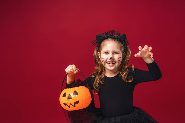 Portrait of a little girl in a cat costume with a mustache and ears, with pumpkin in her hands. charming smiling baby scares and poses on a red background. Preparing for the celebration of Halloween. - Fotó, kép