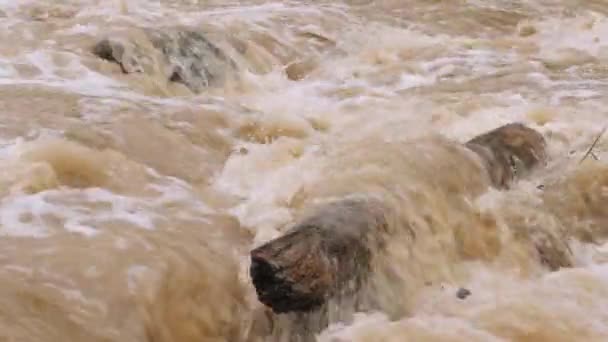 Φυσικές καταστροφές και ακραίες καιρικές συνθήκες. Οργισμένος ποταμός με βρώμικο νερό - Πλάνα, βίντεο