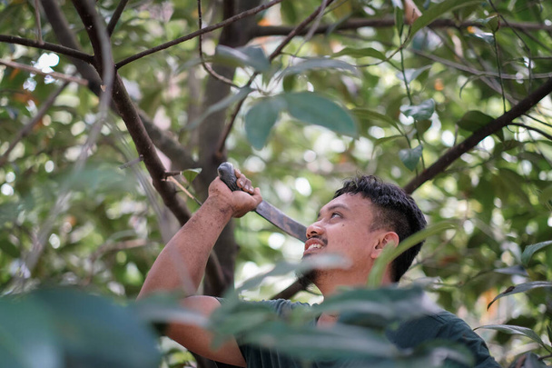 Nuoren maanviljelijän muotokuva Aasiassa, tunkin hedelmäpuussa ja luontotaustalla, käsite: Luomuviljely - Valokuva, kuva