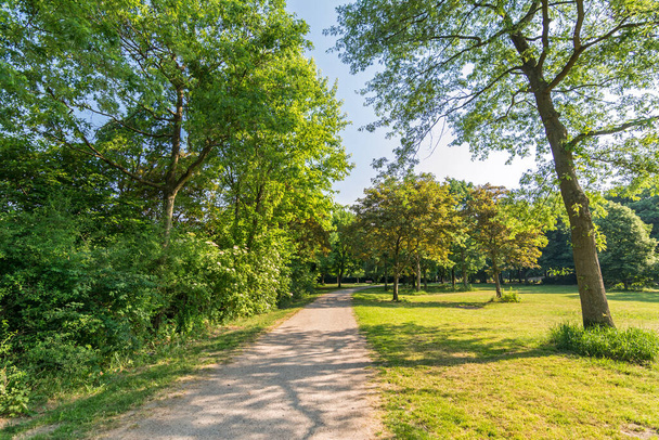 Idyllic footpath in a park in Spring - Photo, Image